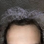 ���������� ������, ���� ����� �����, 22 ����, ������������ ��� ���������