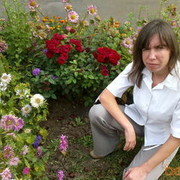 ���������� ����������, ���� ������� ����, 40 ���, ������������ ��� ������, ����� � ���������, c�������� ���������