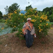  ,   , 55 ,   ,   
