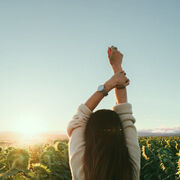 ���������� �������, �����