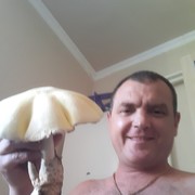  ,   Romic, 44 ,   ,   , c 