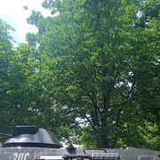 ���������� ����, ������ �������, 18