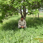  ,   Ishxan, 38 ,  