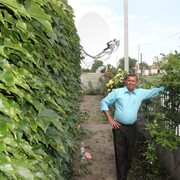  ,   , 71 ,   ,   , c , 