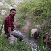  ,   , 40 ,   ,   