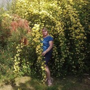 ���������� ������, ���� ������� �������, 48 ���, ������������ ��� ������, ����� � ���������, c�������� ���������