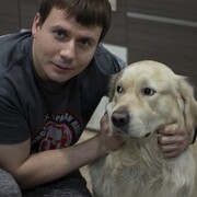 ���������� ��������������, ���� ������� �������, 40 ���, ������������ ��� ����� � ���������, c�������� ���������