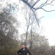 ���������� �����������, ������� �������, 43