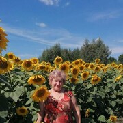  ,   , 68 ,   ,   , c , 