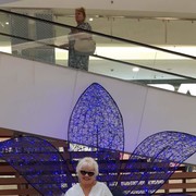 ���������� ����, ���� ������� �����, 65 ���, ������������ ��� ������, ����� � ���������, c�������� ���������