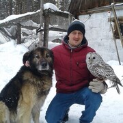 ���������� �������, ���� ������� �����, 37 ���, ������������ ��� ������, ����� � ���������, c�������� ���������, ���������