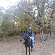 ���������� �����, ���� ������� ���������, 30 ���, ������������ ��� ����� � ���������, c�������� ���������, ���������