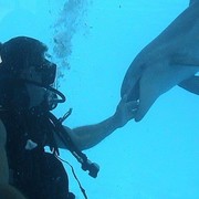 ���������� ���������, ������� ���, 51