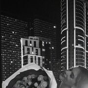 ���������� ������, ���