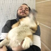  -,   , 26 ,   ,   