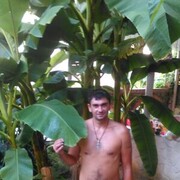  ,   , 46 ,   ,   