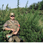 ���������� ���������, ���� ������� ����, 34 ����, ������������ ��� ������, ����� � ���������, c�������� ���������, ���������