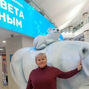 ���������� ����������, ���� ������� ������, 60 ���, ������������ ��� c�������� ���������