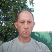   ,  , 41