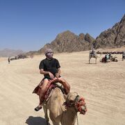 ���������� ������, ���� ������� �������, 31 ���, ������������ ��� ������, ����� � ���������, c�������� ���������