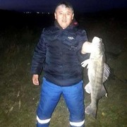  ,    , 44 ,   