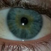 ���������� �������, ���� ������� Davit, 45 ���, ������������ ��� ������, ����� � ���������, c�������� ���������