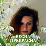 ���������� ������������, ���� ������� �����, 44 ����, ������������ ��� ������, ����� � ���������, c�������� ���������, ���������