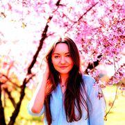 ���������� �����������, ���