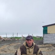  -,   , 43 ,   ,   