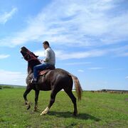 ���������� ������-��-����, ���� ������� �����, 34 ����, ������������ ��� ������, ����� � ���������