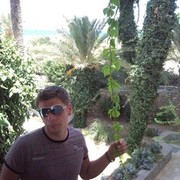  -,   , 43 ,   