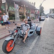 ���������� �����, ���� ������� Oves, 40 ���, ������������ ��� ������, ����� � ���������, c�������� ���������