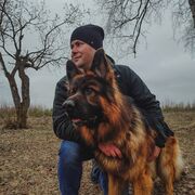 ���������� �������, ���� ������� �����, 36 ���, ������������ ��� ������, ����� � ���������, c�������� ���������