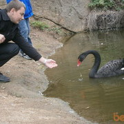 ���������� ����, ���� ������� Lexxfu, 45 ���, ������������ ��� ������, ����� � ���������, c�������� ���������