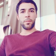  ,   MisterFox, 37 ,   ,   , c 