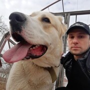 ���������� ���������, ���� ������� �����, 36 ���, ������������ ��� c�������� ���������