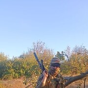 ���������� �������, ���� ������� ������, 44 ����, ������������ ��� ����� � ���������, c�������� ���������, ���������