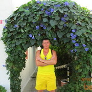 ���������� �������, ���� ������� ���������, 42 ����, ������������ ��� ������