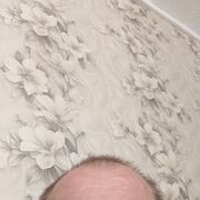 ���������� ������, ���� ������� ���������, 46 ���, ������������ ��� ������, ����� � ���������, ���������