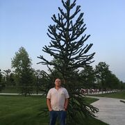  ,   , 55 ,   ,   