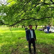 ���������� �������, ���� ������� Zaur, 47 ���, ������������ ��� ����� � ���������, c�������� ���������