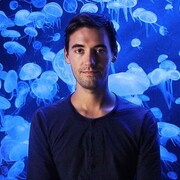 ���������� ������, ���� ������� ������, 42 ����, ������������ ��� ������, ����� � ���������