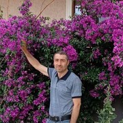  ,   Ozi, 44 ,   ,   