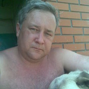  ,   , 53 ,   
