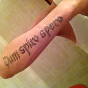 ���������� ������, ���� ������� ����, 36 ���, ������������ ��� ������, ����� � ���������, c�������� ���������