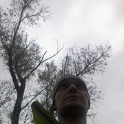  ,   , 41 ,   