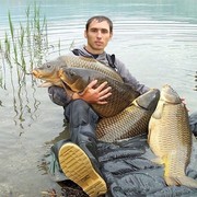 ���������� ������, ���� ������� ����������, 37 ���, ������������ ��� ������, ����� � ���������, c�������� ���������