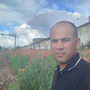 ���������� �����������, ���� ������� ���������, 38 ���, ������������ ��� ������, ����� � ���������