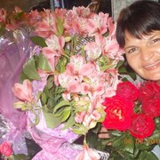  -,   , 43 ,   ,   , c , 