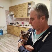  ,   , 54 ,   ,   